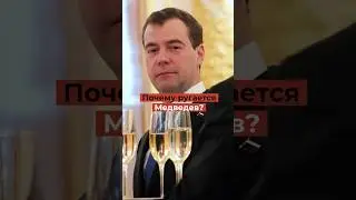 Журналисты сильно удивились причине матерщины Дмитрия Медведева в соцсетях