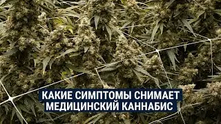 Кому может помочь медицинский каннабис? Обсуждаем с нейропсихиатром