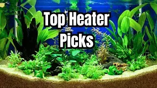 The Best Aquarium Heaters (And How To Choose)