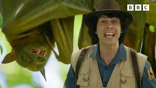 Andy and the Flying Fox | Safari Adventures | Andy's Amazing Adventures
