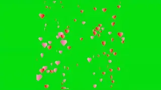 Top 06 Heart Shower Green Screen VFX Effects