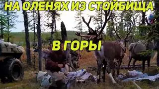 ✔️ КАК ЭВЕНКИ ЕХАЛИ НА ПРАЗДНИК, ОЧЕНЬ ОПАСАЯСЬ НЕ УСПЕТЬ