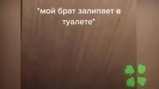 Брат срет в туалете