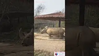 Красотка на природе 👍💖👌Видеоселфи в заповеднике 🌳