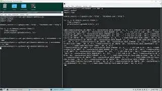 Python Get Domain IP Address Information - Minimodem