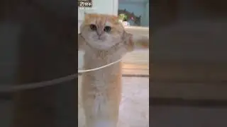 Скоро літо