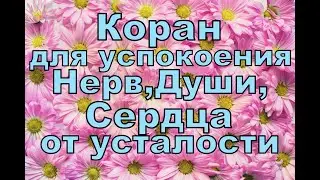 Коран для Успокоения Нерв ,Души, Сердца от усталости,Коран для души