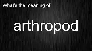 What's the meaning of 