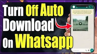 How to Turn Off Auto Download on Whatsapp