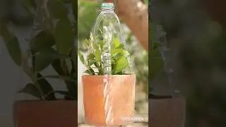 Pot hanger With Plastic Bottle