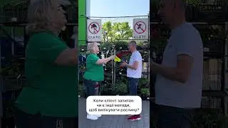 Коли клієнт запитав, чи є інші методи вилікувати рослину
