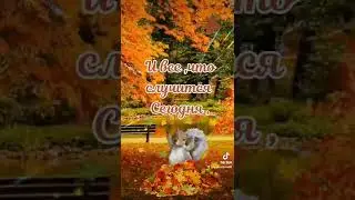 Доброе утро ! 🍁🍂🍁💛🧡