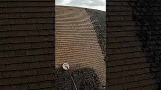 I Rescued This Old Cottage Roof in the Country. #satisfying #cleaning #roofcleaning #jetwashing