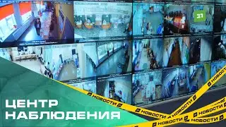 В центре наблюдения за выборами рассказали, с какими вопросами чаще обращаются на горячую линию