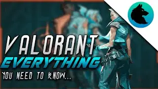 All you need to know about valorant |Hope for low spec gamers|nit hunter|