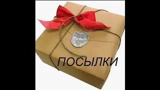 Новые розы в сад !!!!  Новинки из питомника 