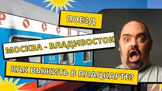 Голландец в поезде  Москва Владивосток.  Первый день.   Как выжить неделю в плацкарте?