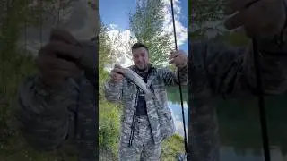 Уловистая приманка 