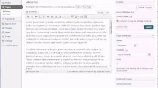 Setting up a Page in Wordpress | Creating Heirarchy and Menus