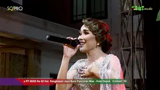 Duda Araban - Ayu Tingting || COVER LIVE BEST MUSIC