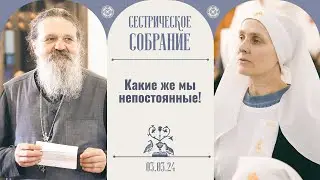 Почему люди ищут счастья и не находят? Сестрическое собрание с о. Андреем Лемешонком 03.03.2024