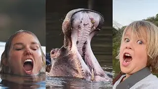 WHO DID IT BEST?? HIPPO SOUNDS with KIDS