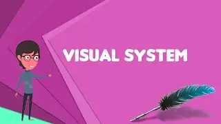 What is Visual system? Explain Visual system, Define Visual system, Meaning of Visual system