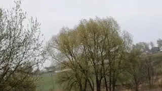 Природа просыпается