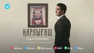 Айдар Тұрғамбек - Қарлығаш