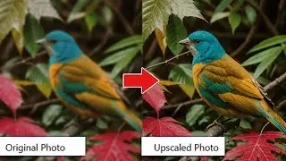 Discover the Best Free Image Upscaler AI Tools!