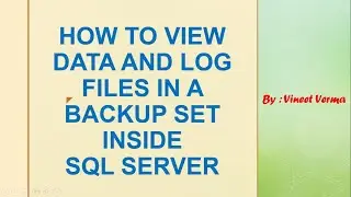 How to view Data and Log Files in a Backup Set | SQL Server