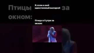 Сплю в свой единственный выходной, в это время птици за окном