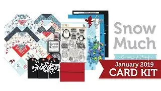 Simon Says Stamp Card Kit Reveal and Inspiration: Snow Much