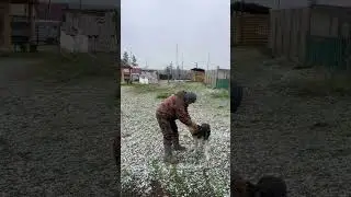 First snow❄️ Первый снег❄️ Pandasakha Yakutia❄️ 