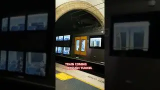 TRAIN COMING THROUGH TUNNEL 🇦🇺🪃🚉🚈🚇🚆