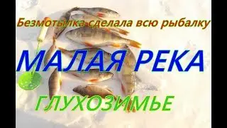 Безмотылка в Феврале Малая Река