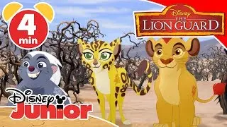 The Lion Guard | Magical Moment: Fire From The Sky 🦁 | Disney Kids