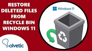 How to Restore a Deleted File From Recycle Bin on Windows 11 ✔️