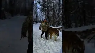 15 декабря 2023 г.