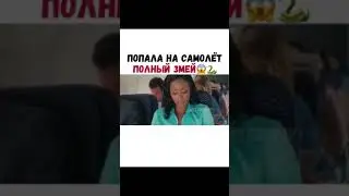 Попала На Самолет Полный Змей