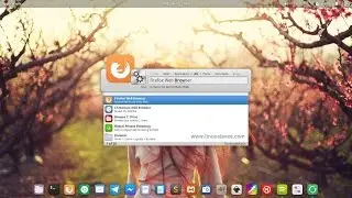 Install Synapse Indicator on Elementary OS - Linux App Launcher Alternative to Mac OS Spotlight