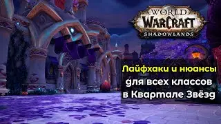 ВСЕ лайфхаки и нюансы для всех классов в Квартале Звёзд в обновлении 9.1.5