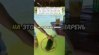 самая дружелюбная рыба 