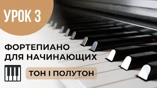 ТОН И ПОЛУТОН I УРОК 3 I ОБУЧЕНИЕ ИГРЕ НА ФОРТЕПИНО