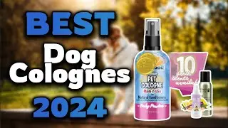 Top Best Dog Colognes in 2024 & Buying Guide - Must Watch Before Buying!