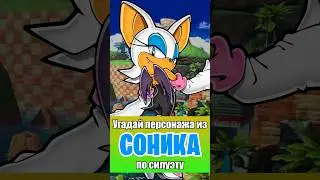 Угадай персонажа из Соника по Силуэту 
