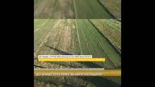 How much does Ukrainian land cost? 