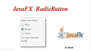 #17 JavaFX Tutorial | RadioButton in JavaFX