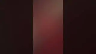 27 сентября 2023 г.