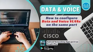 How to Configure Data and Voice VLANs on the same port on Cisco Devices | Network Handbook